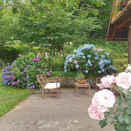 Holiday Home Vesna Brod na Kupi Exterior photo
