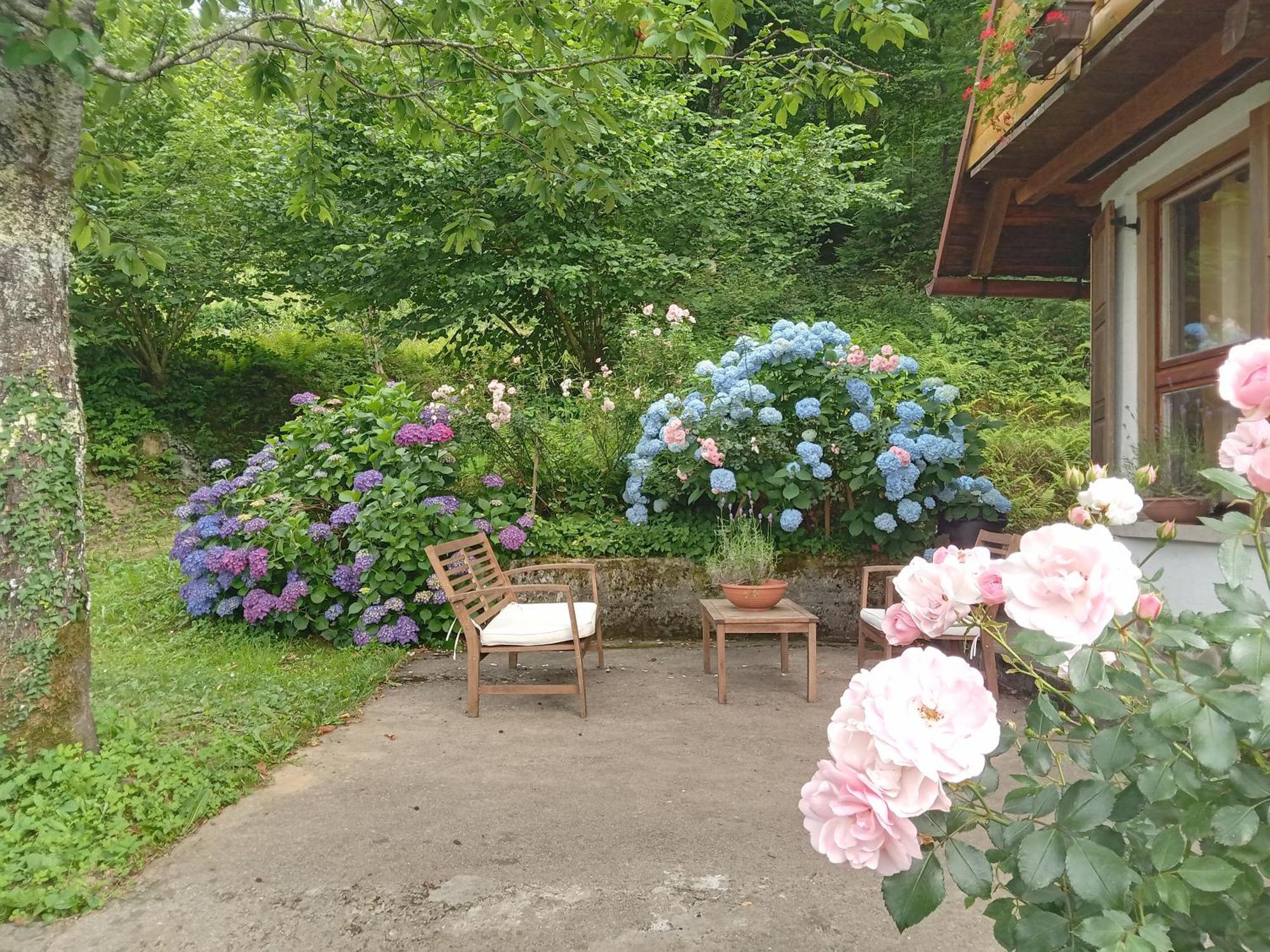 Holiday Home Vesna Brod na Kupi Exterior photo
