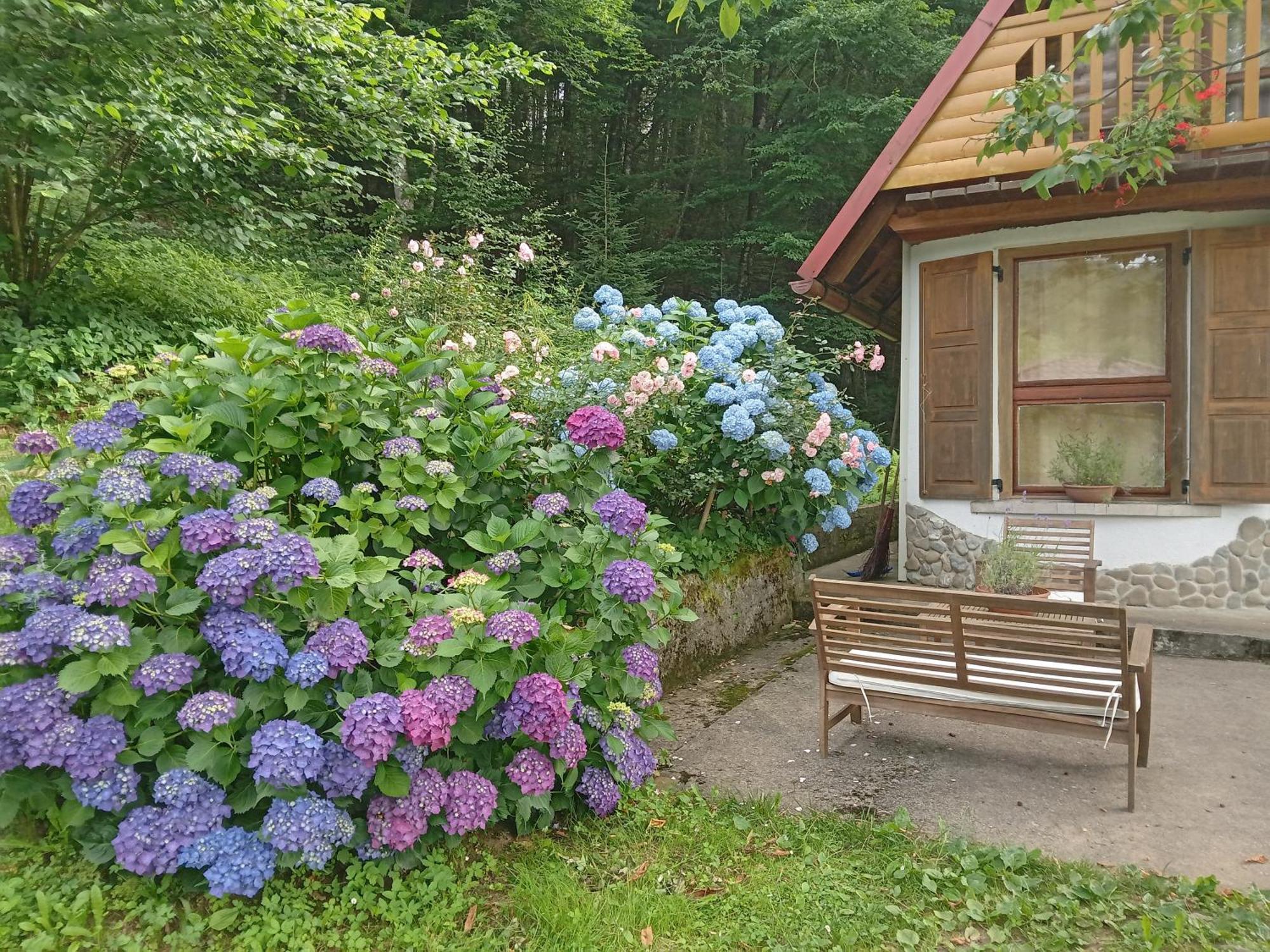 Holiday Home Vesna Brod na Kupi Exterior photo